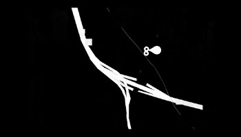 2019-02-11-20-25-52-452b(1)