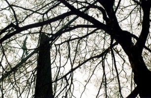 strange_019