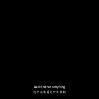 We did not see everything text 3