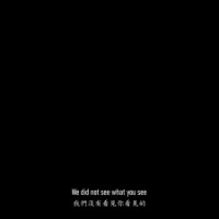 We did not see what you see text